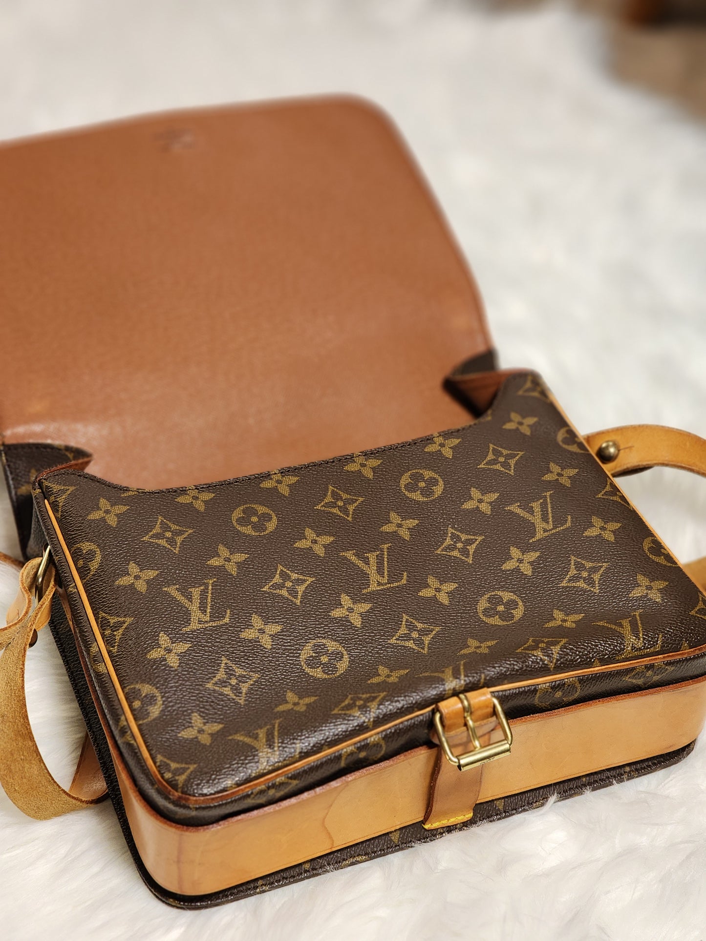 Louis Vuitton Monogram Cartouchiere GM Crossbody