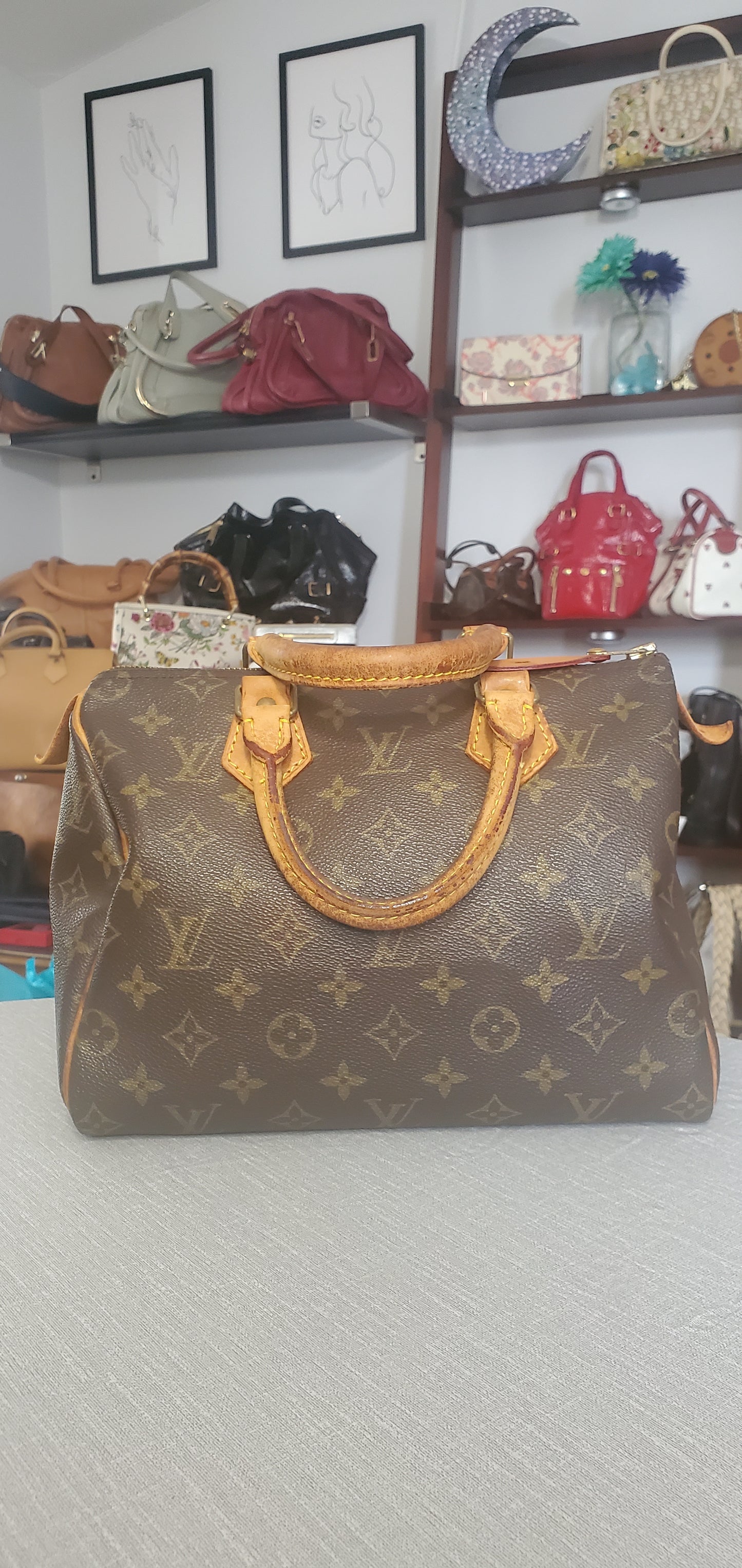Louis Vuitton Speedy 25 Monogram