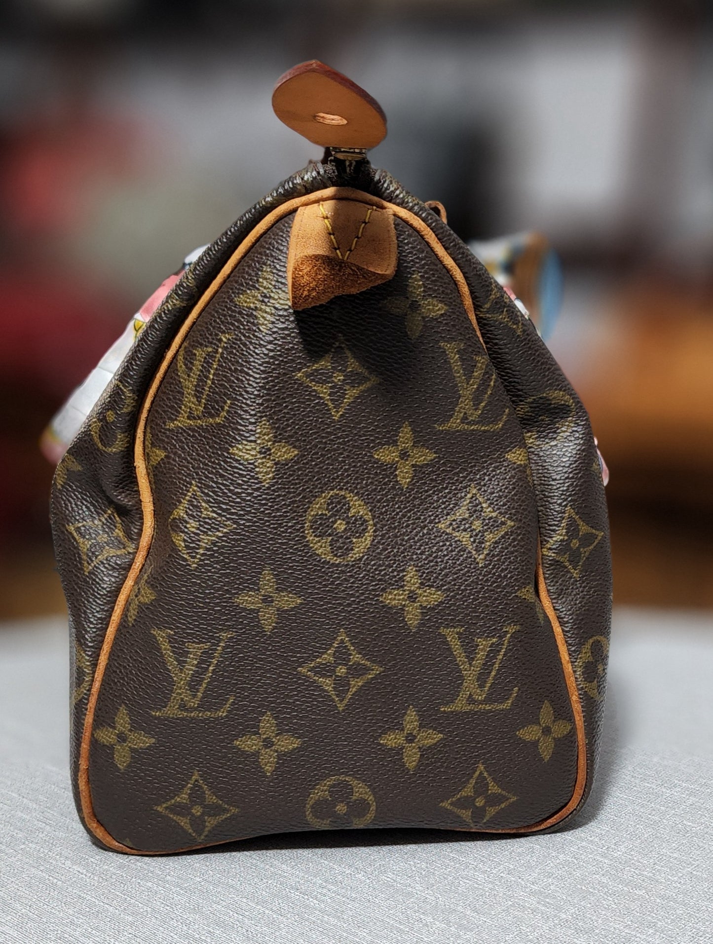 Louis Vuitton Speedy 25 Monogram