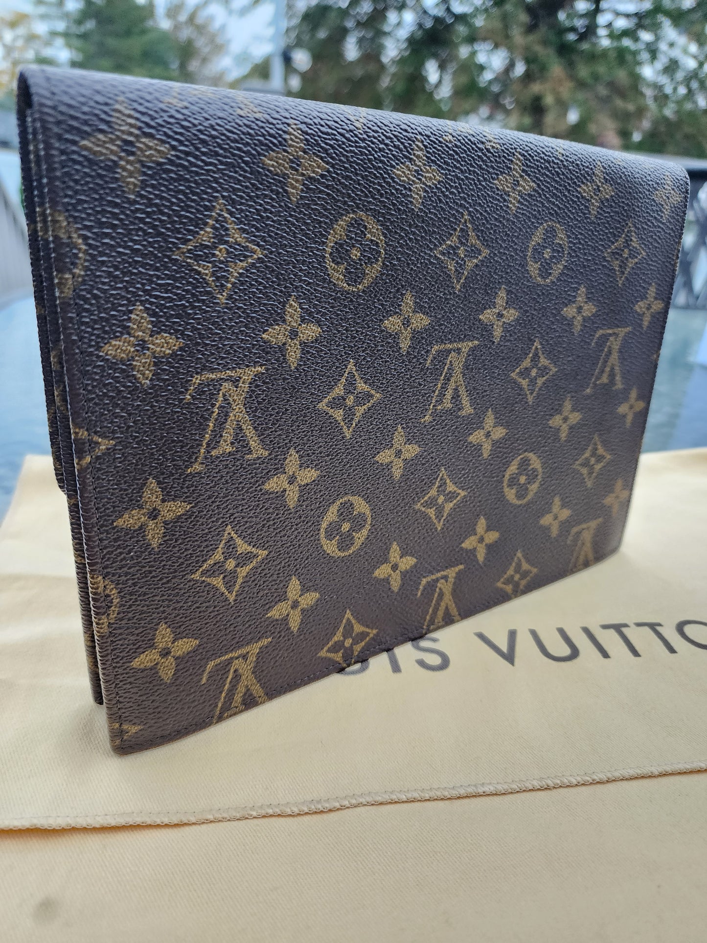 Louis Vuitton Rabat 23 Monogram Clutch