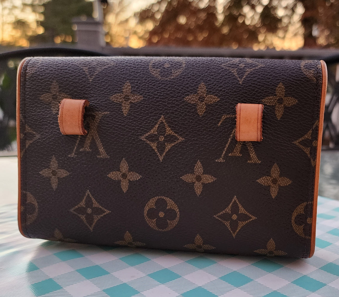 Louis Vuitton Florentine Waist Bag Monogram Canvas