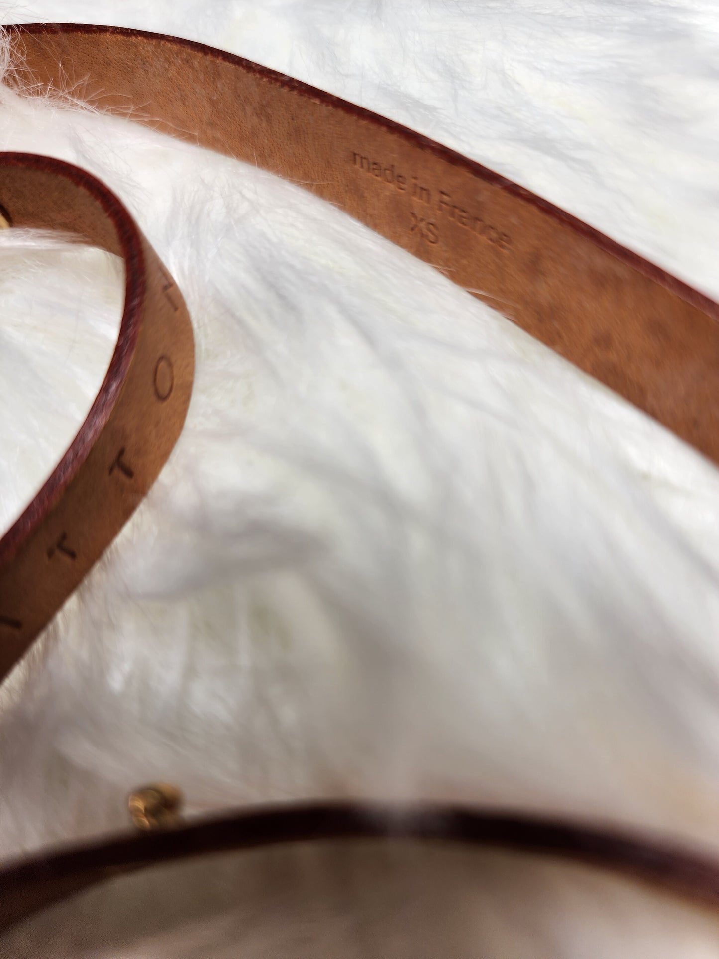 Louis Vuitton Florentine Waist Bag Monogram Canvas