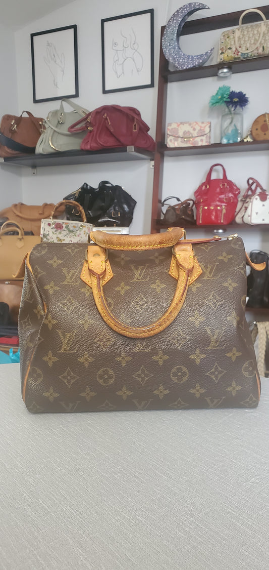 Louis Vuitton Speedy 25 Monogram